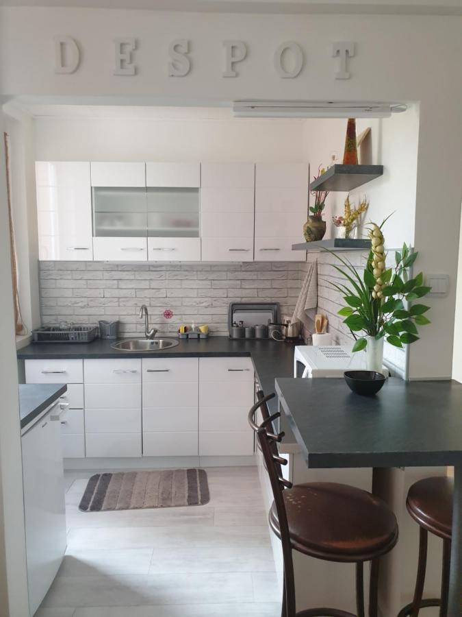 Despot Apartmani Ниш Экстерьер фото