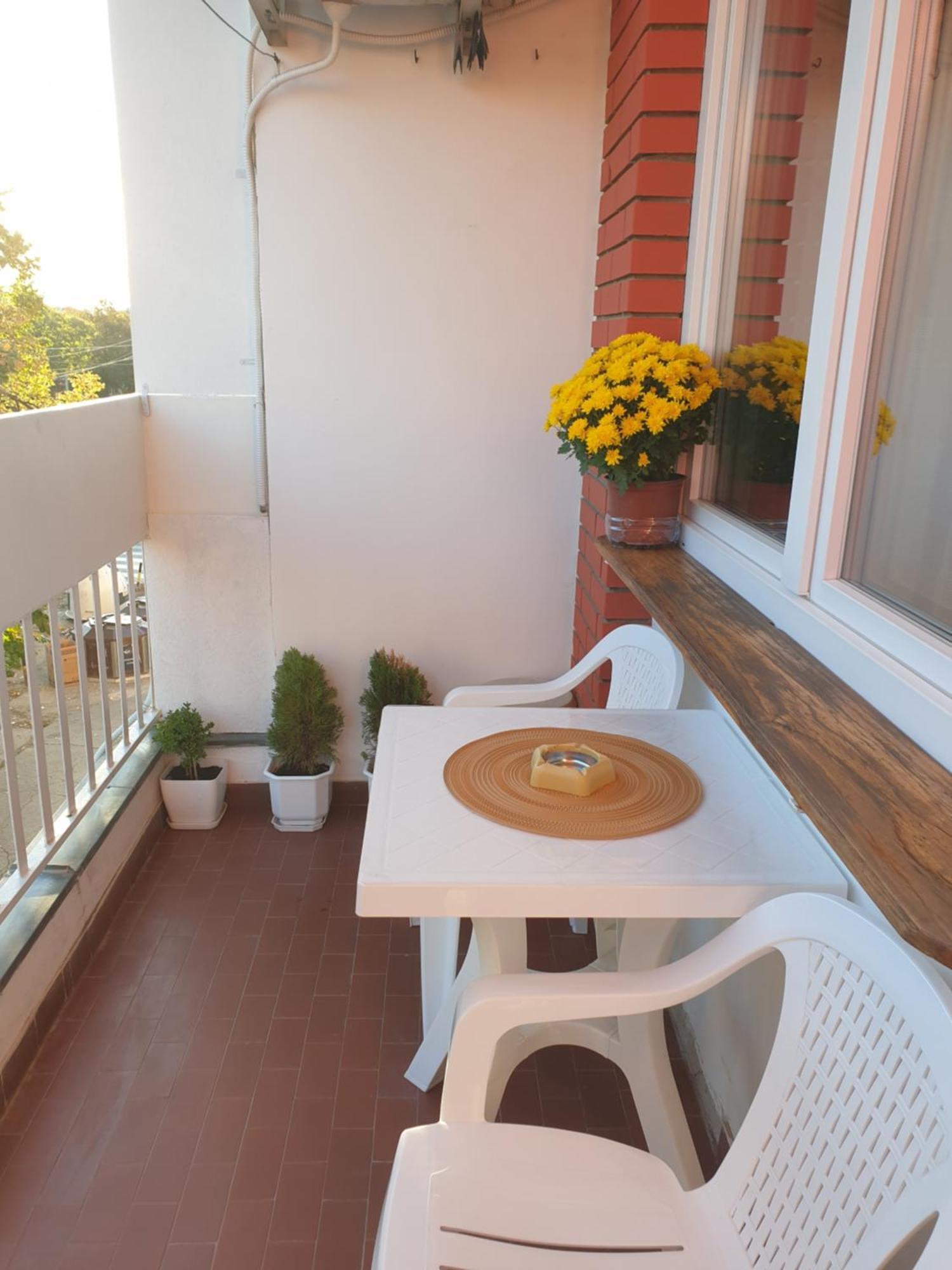 Despot Apartmani Ниш Экстерьер фото